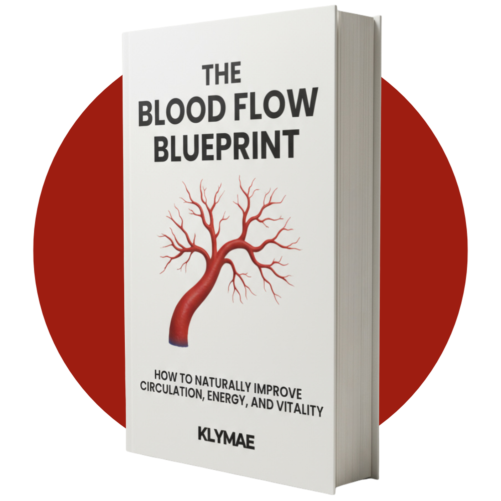 Blood Flow Guide
