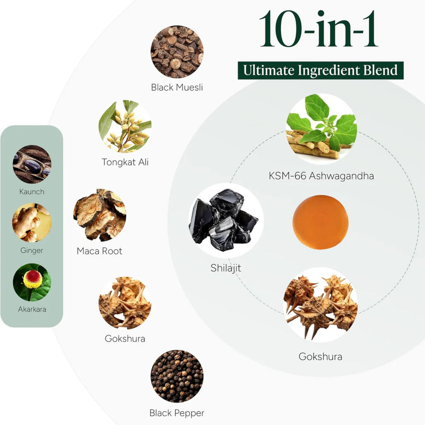 KLYMAE™ 10-in-1 Alpha Gummies