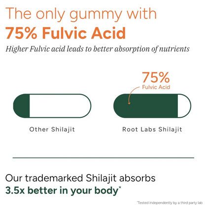 KLYMAE™ 10-in-1 Alpha Gummies